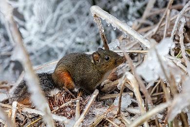 《暗黑2：重制版》全平台9.23日开放，斧牛加速器主机加速不卡顿