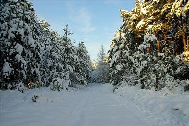 索尼发布PS5系统更新 提升了系统性能